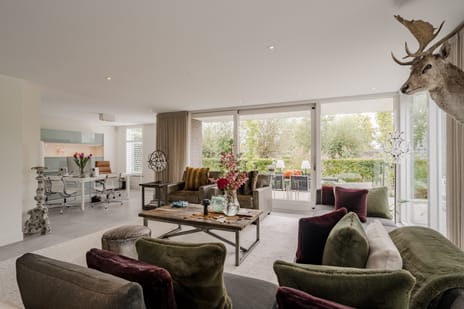 Goudplevier 7 tertiary image