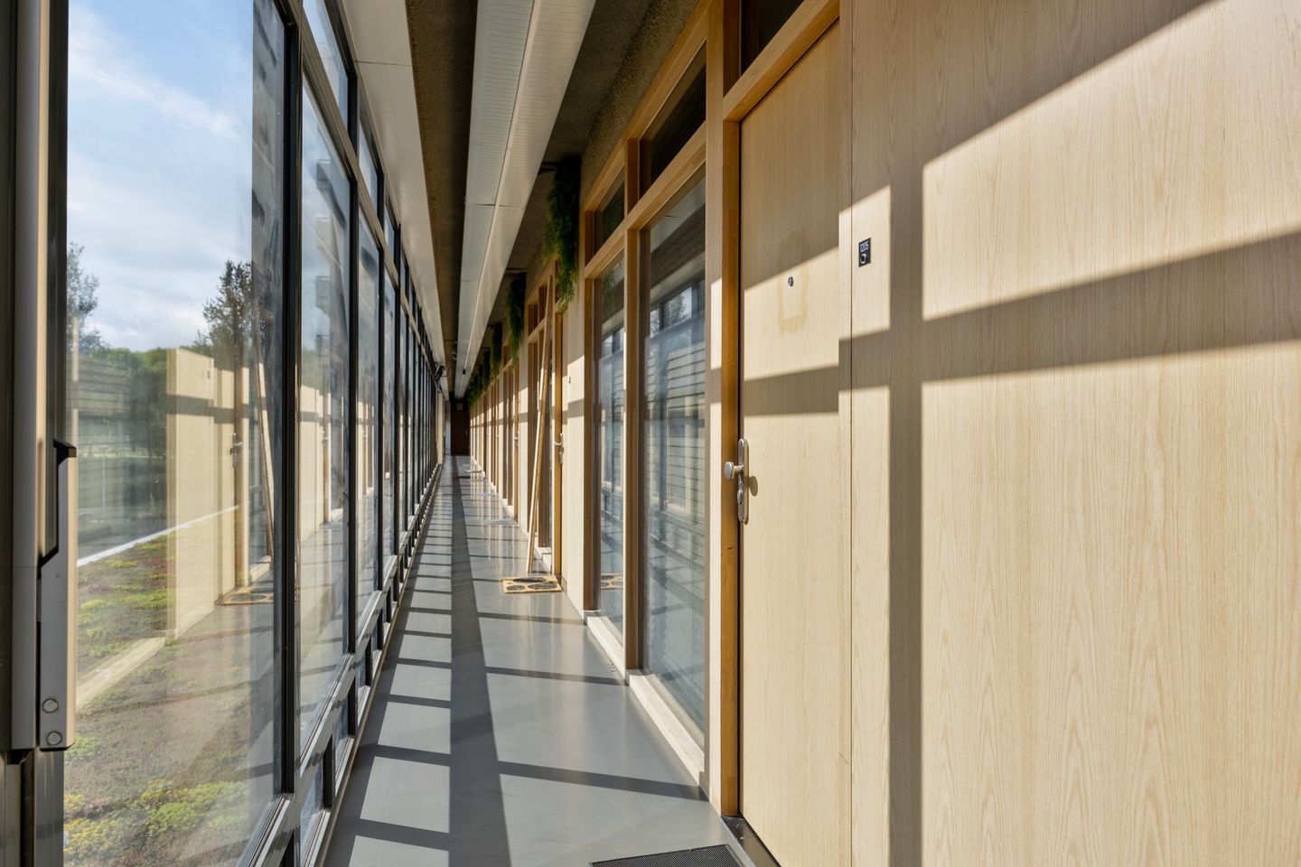 Foto 20 van Burgemeester Hogguerstraat 1205