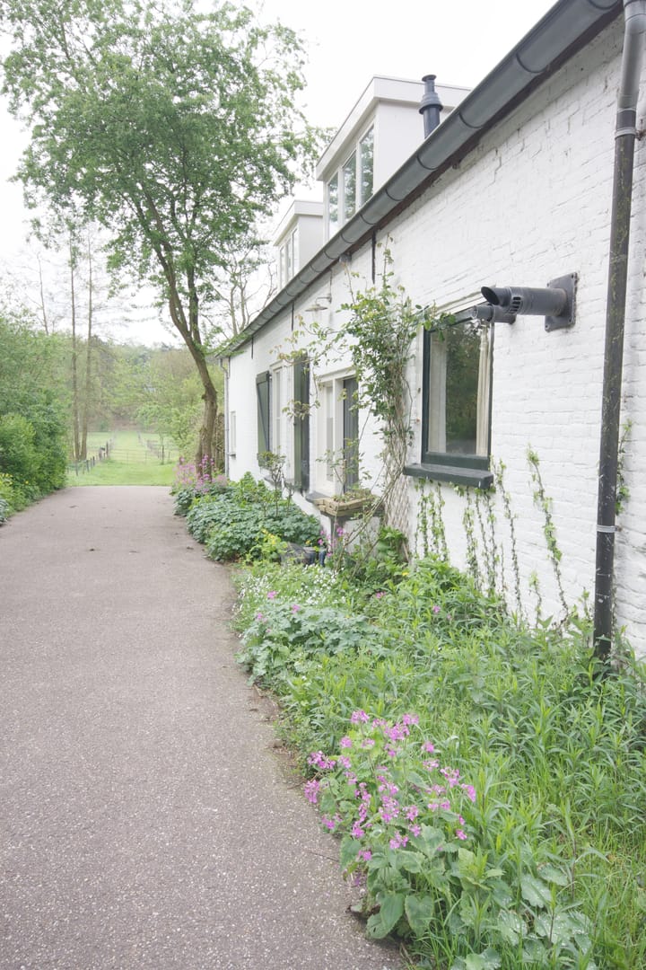 Foto 2 van de Kamp 4