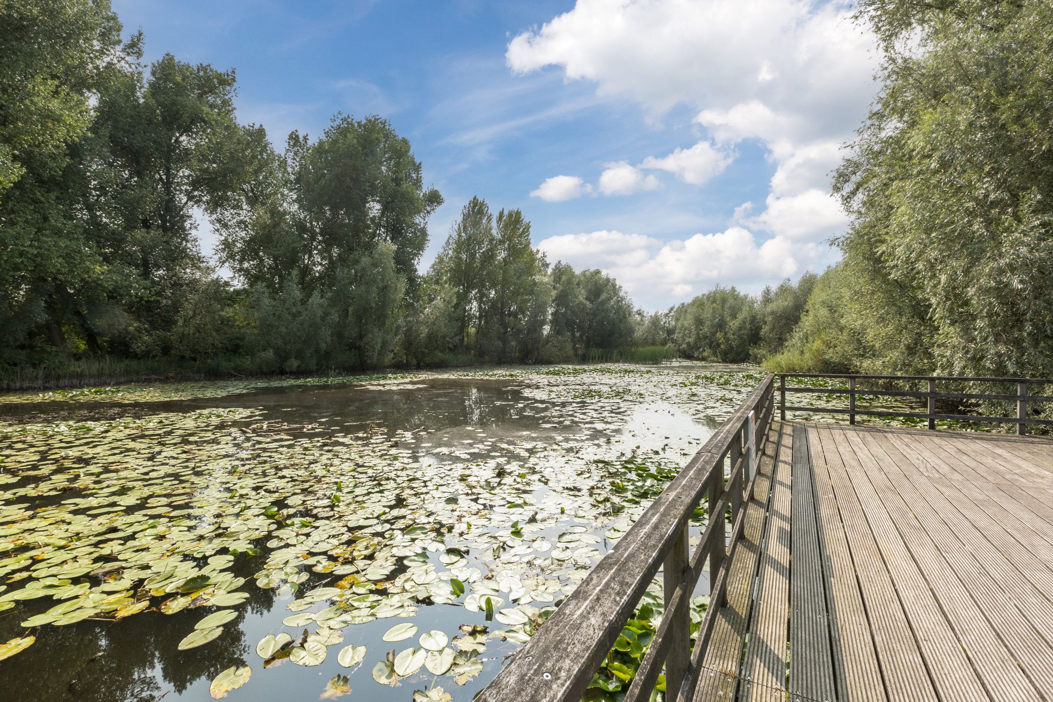 Foto 18 van Corso 26