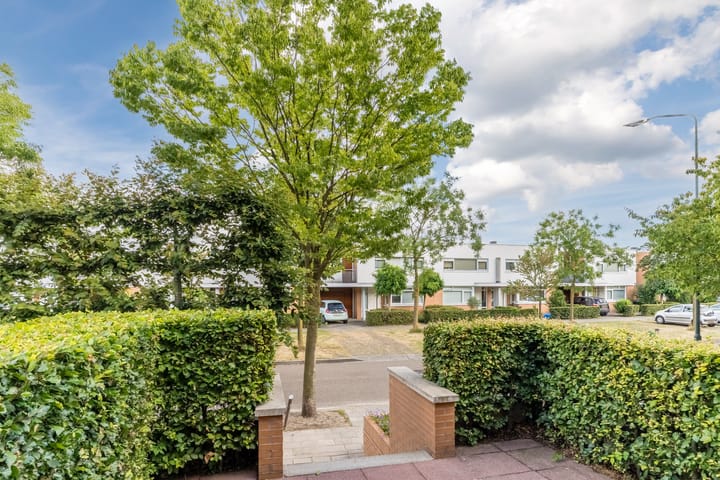 Foto 4 van Laan van Tolkien 195