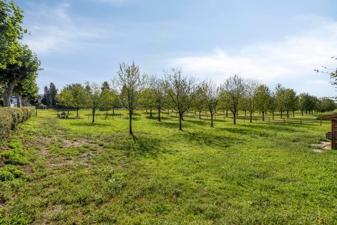 Foto 53 van Carolusweg 16