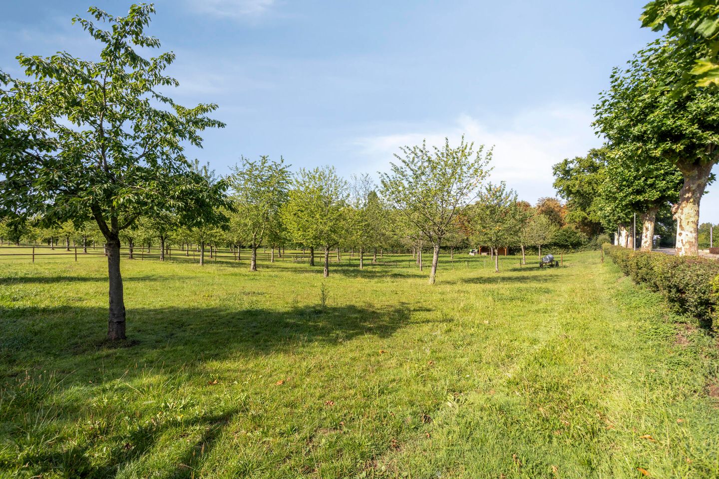 Foto 55 van Carolusweg 16