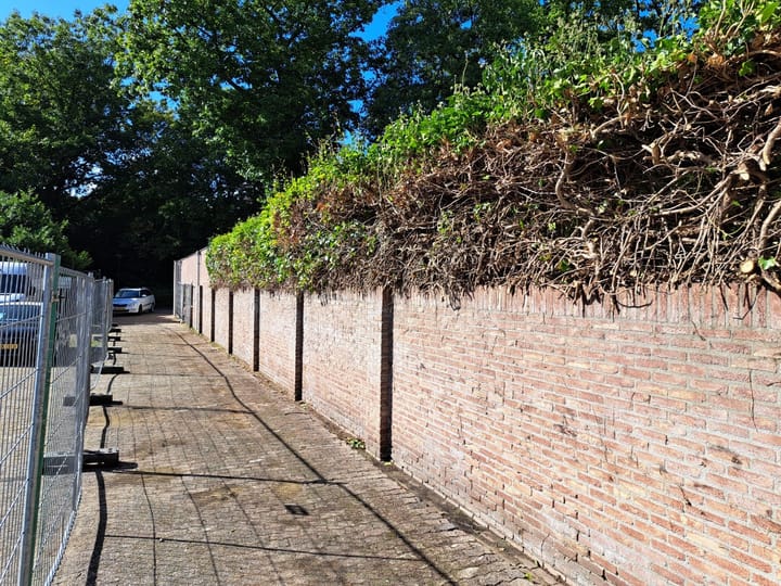 Photo 8 of Snippenlaantje 3-A