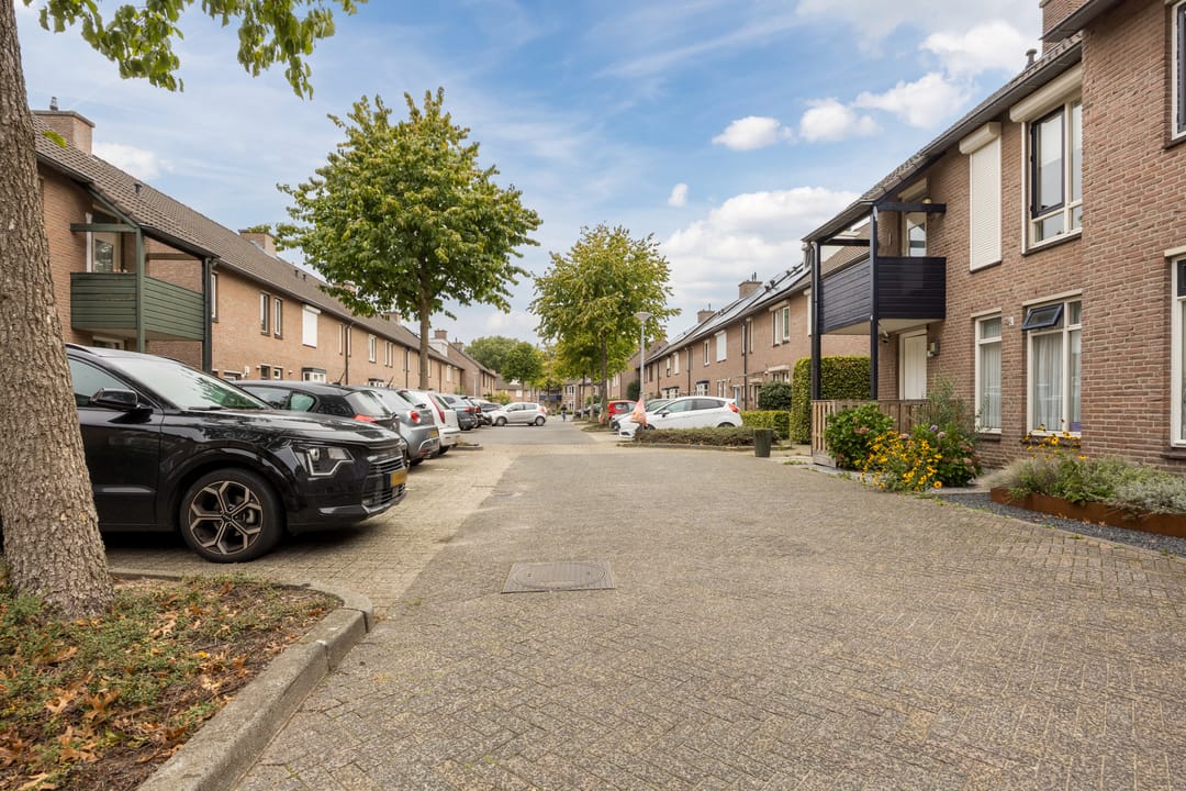 Photo 8 of Schepenhoek 213