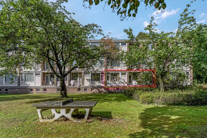 Foto 1 van De Zoom 4