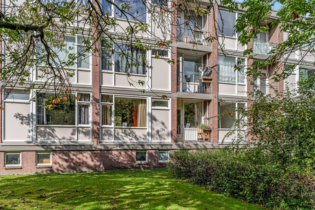 Foto 2 van De Zoom 4