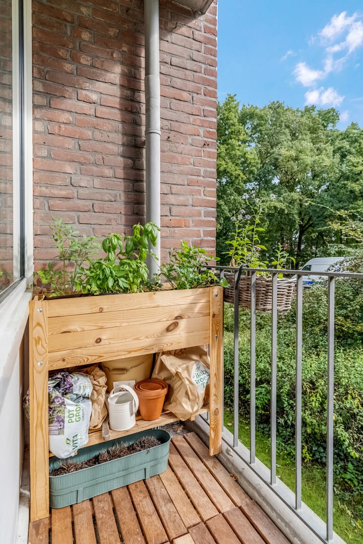 Foto 34 van De Zoom 4