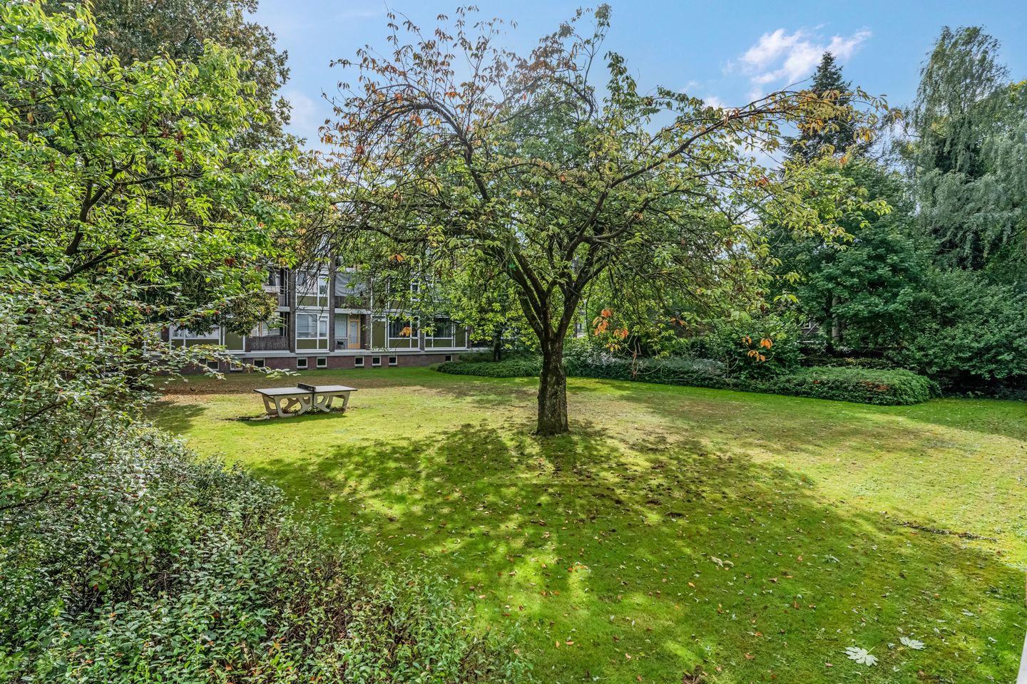 Foto 35 van De Zoom 4