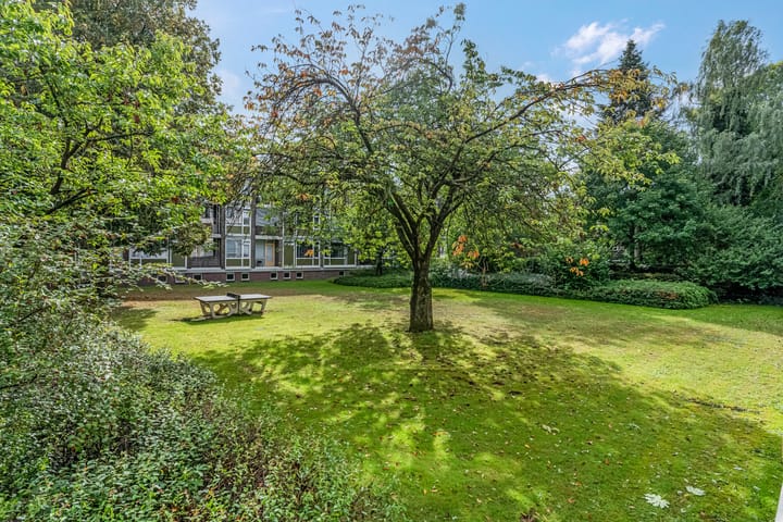 Foto 35 van De Zoom 4