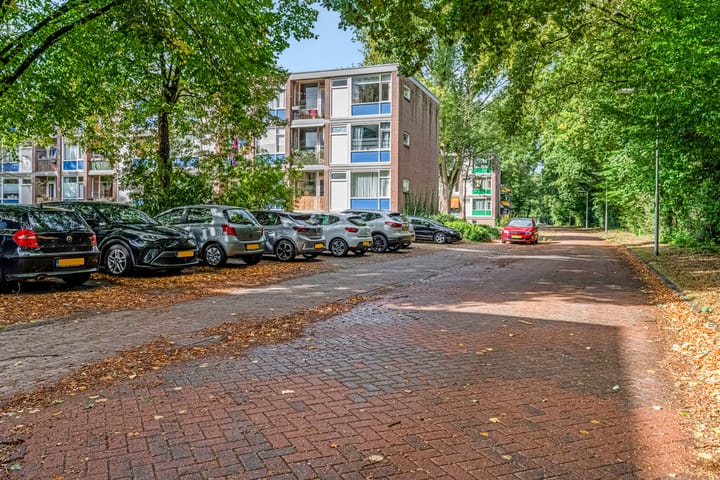 Foto 38 van De Zoom 4