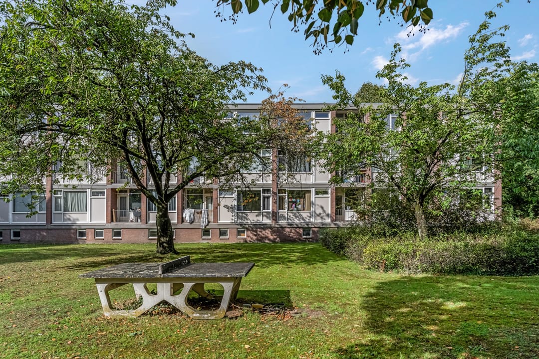 Foto 43 van De Zoom 4