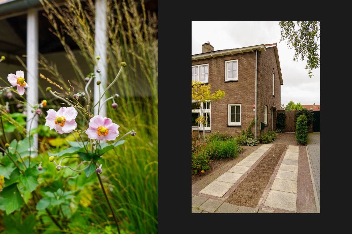 Foto 24 van Anthony van Lalainglaan 29