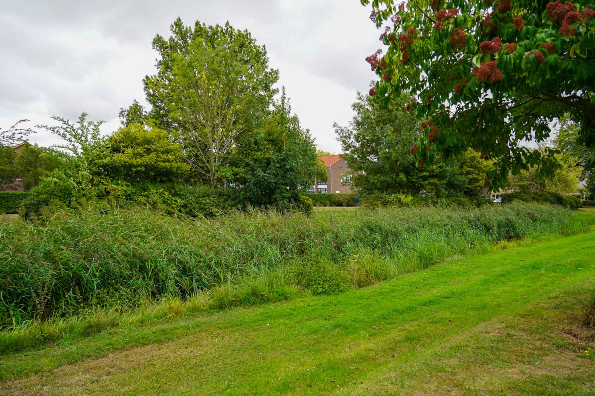 Foto 25 van Anthony van Lalainglaan 29