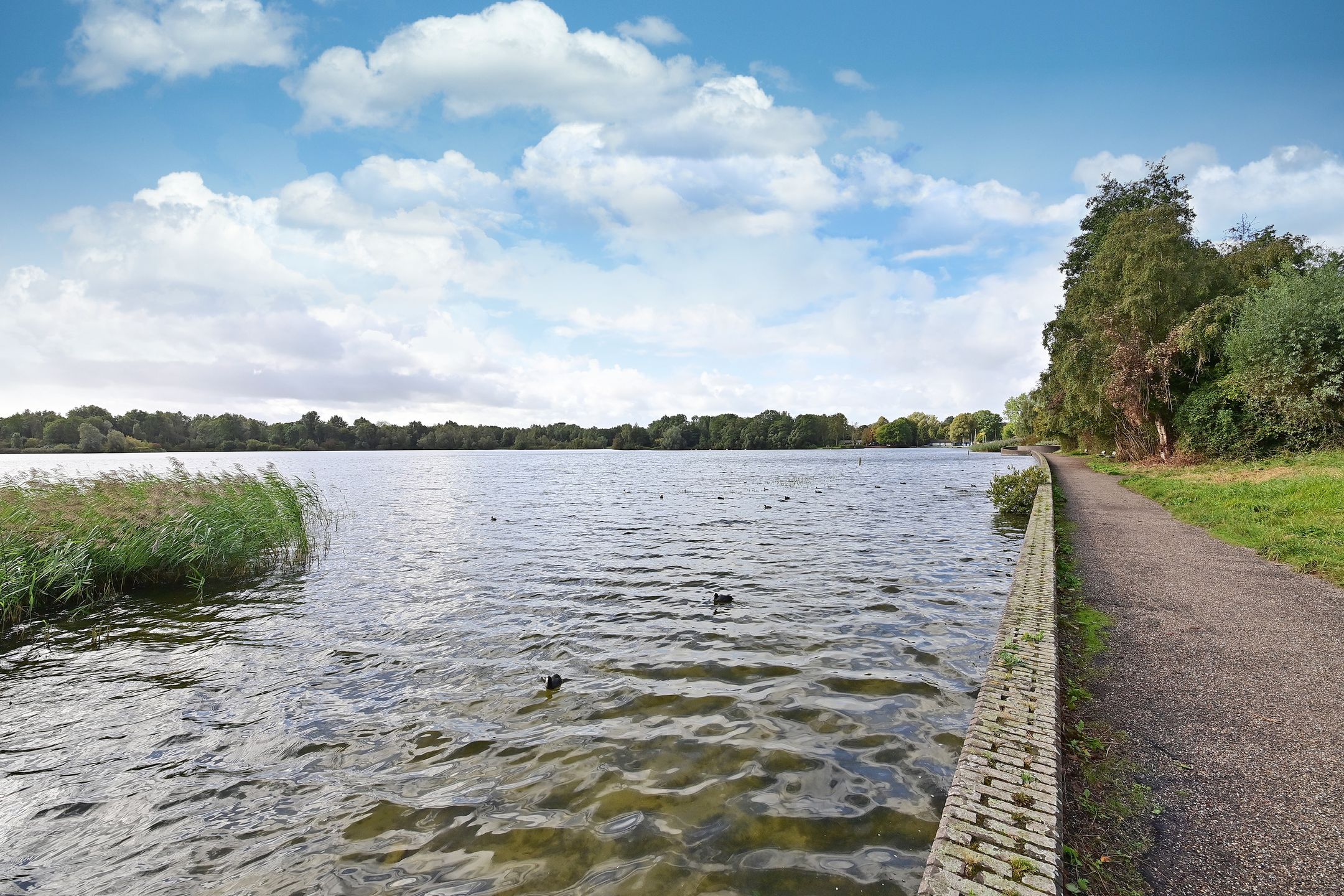 Foto 3 van Liendenhof 111