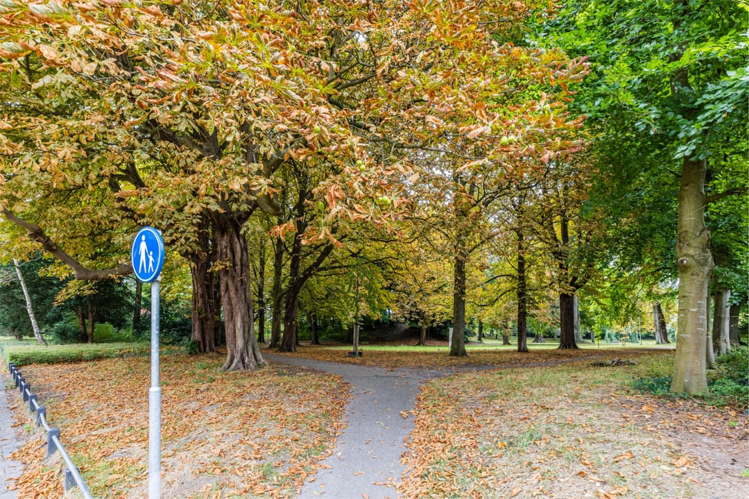 Photo 53 of Den Burghstraat 10