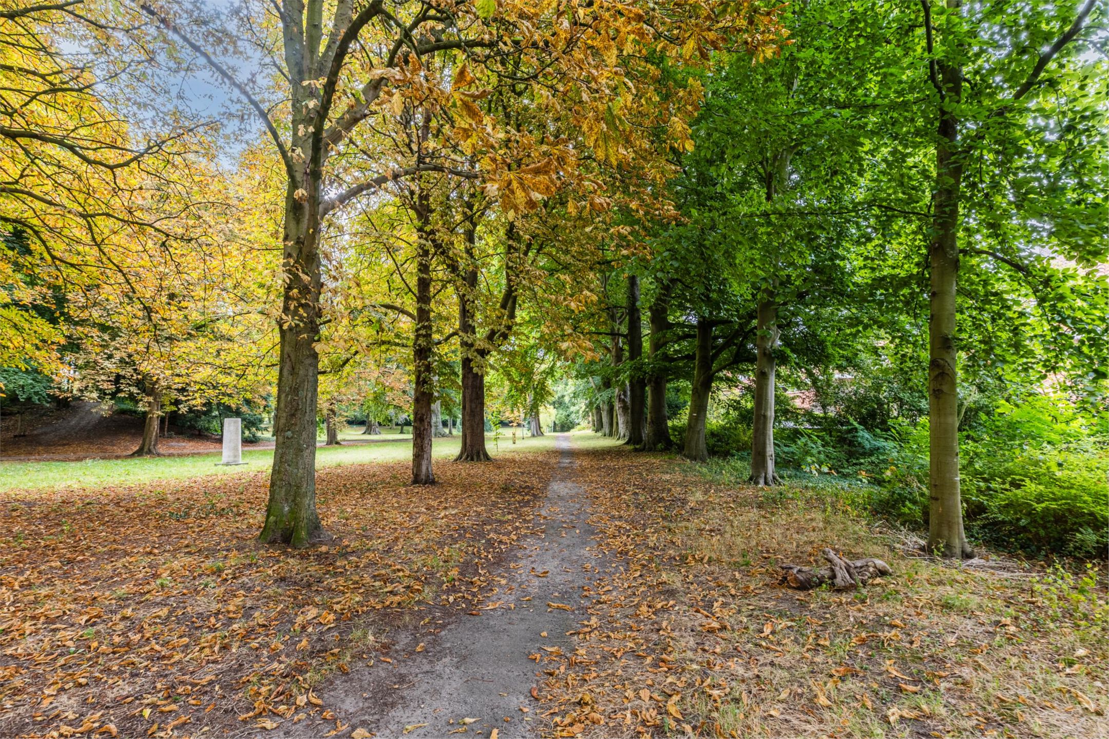 Photo 54 of Den Burghstraat 10