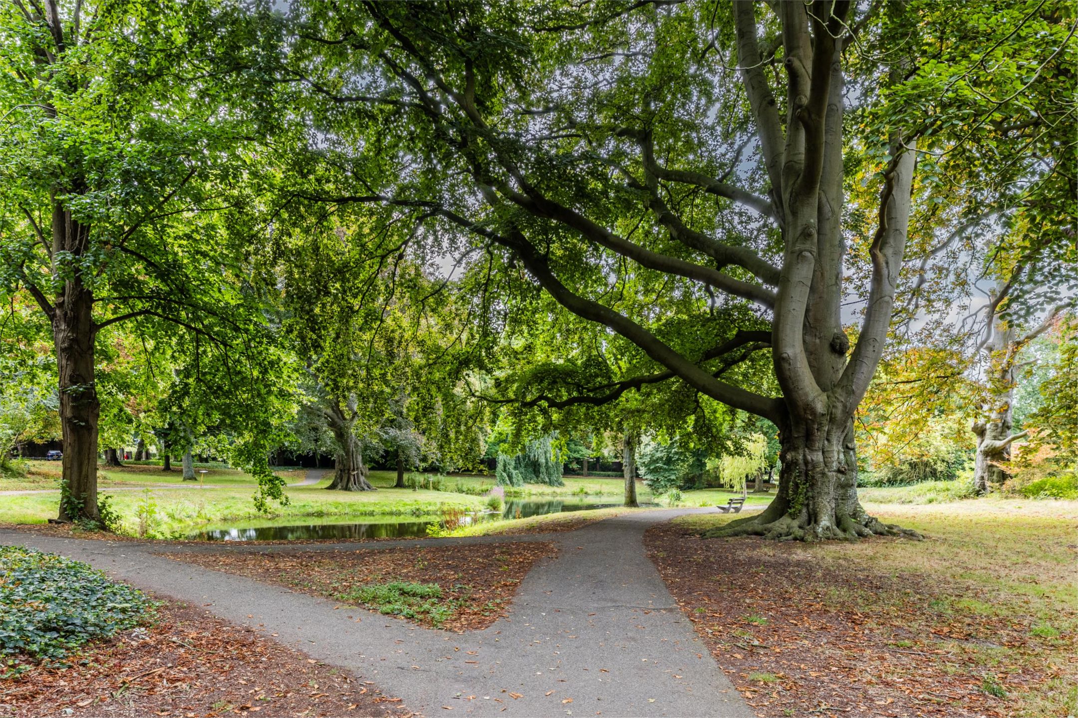 Photo 57 of Den Burghstraat 10