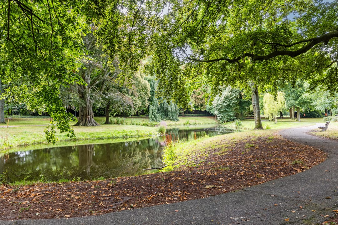 Photo 58 of Den Burghstraat 10