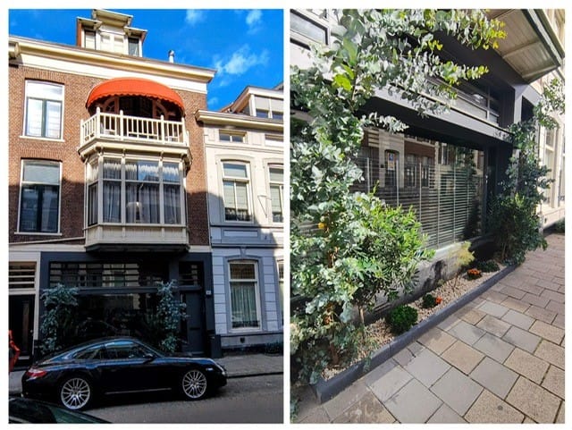 Foto 1 van Anna Paulownastraat 21