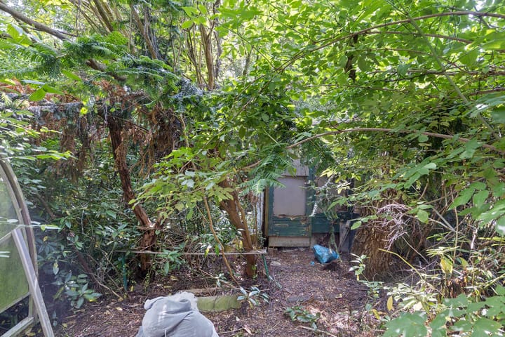 Foto 12 van Molièreweg 594