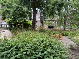 View photo 4 of Putgraaf 3