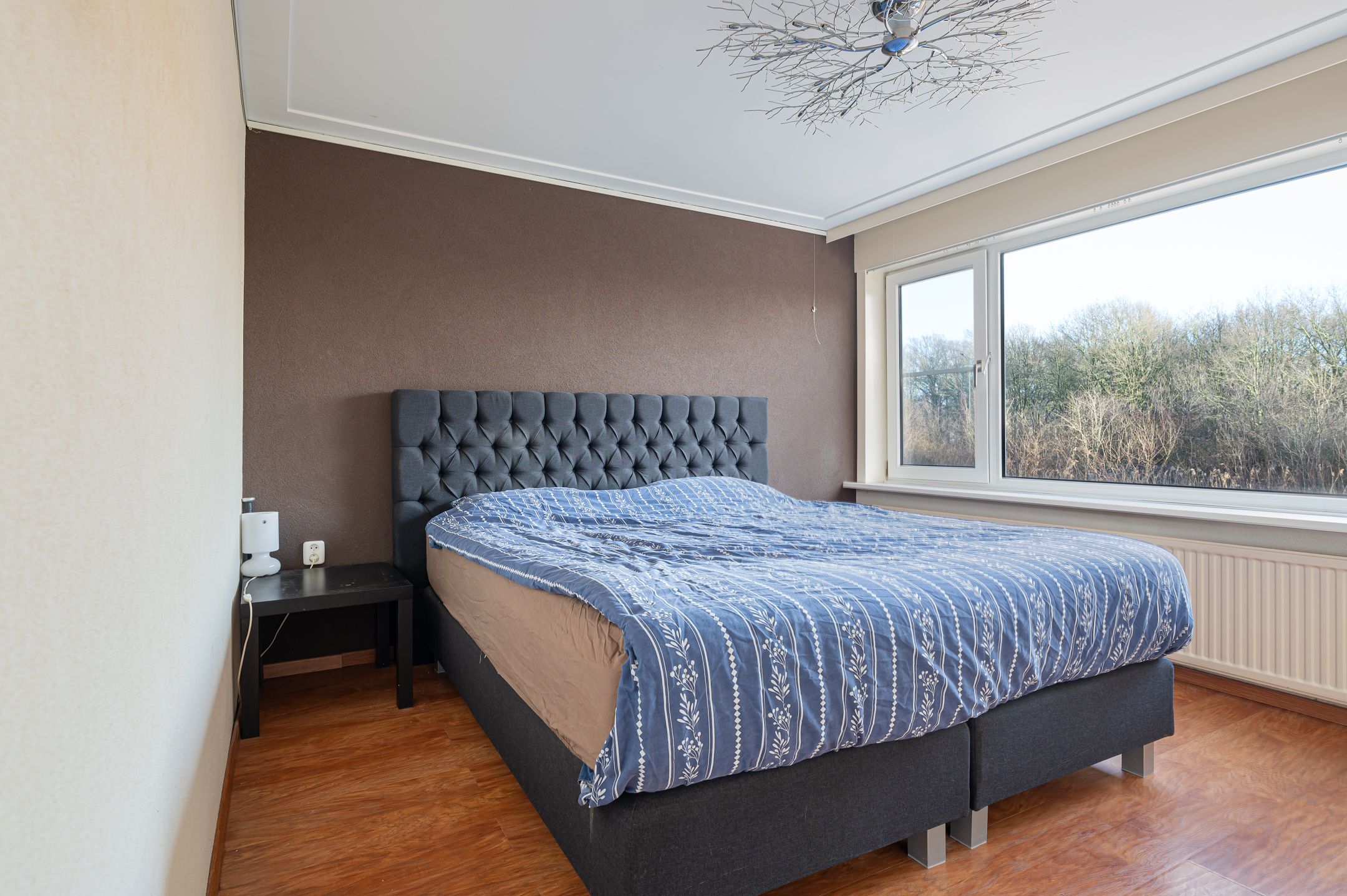 Foto 12 van Gladiolenhof 16