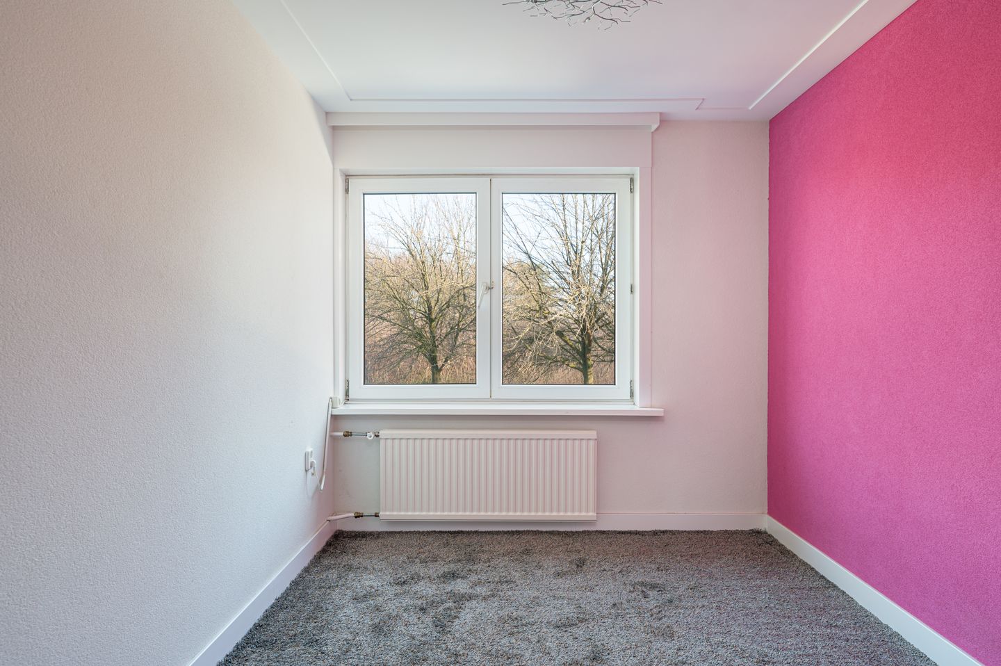 Foto 14 van Gladiolenhof 16