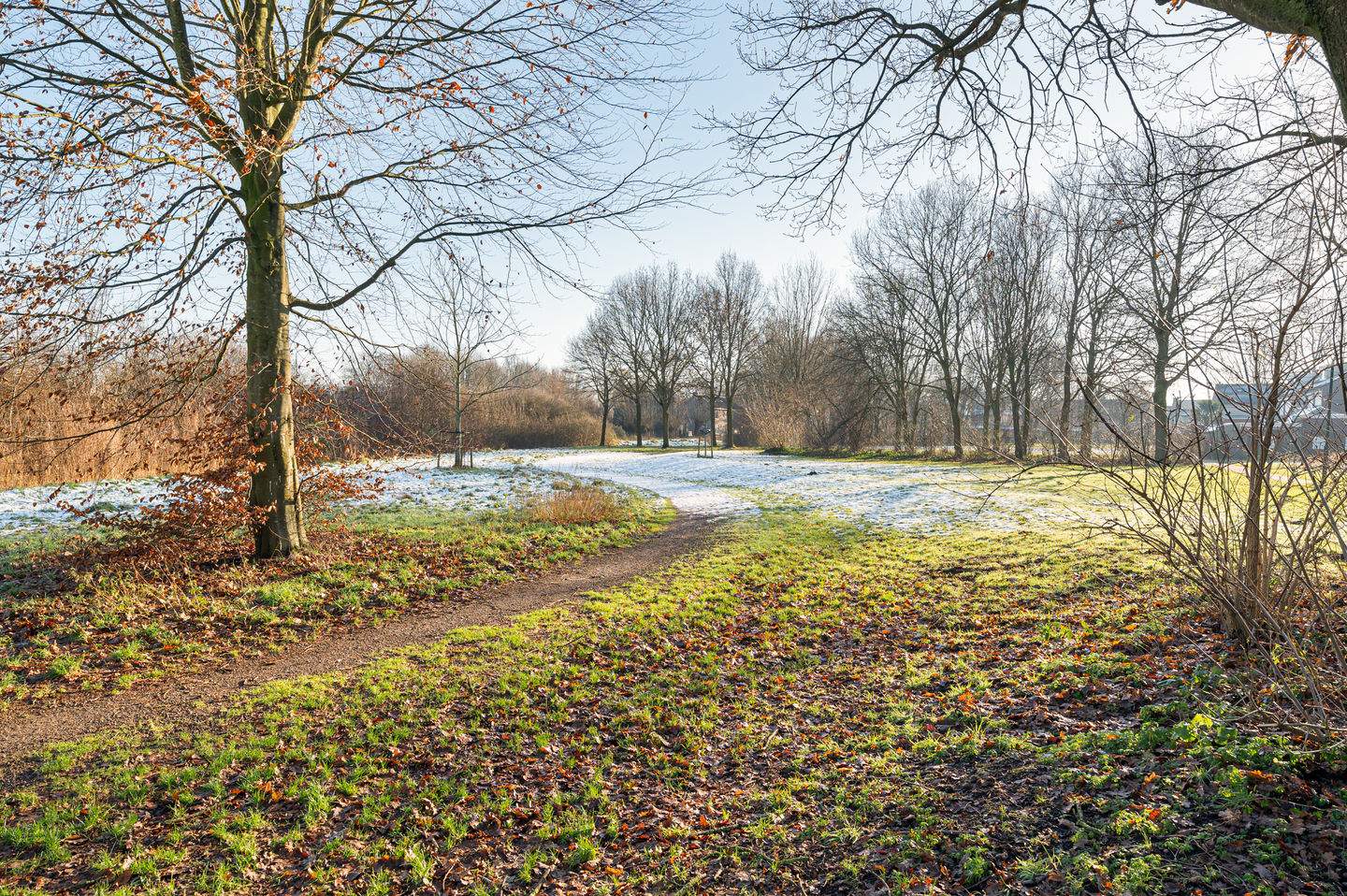 Foto 25 van Gladiolenhof 16