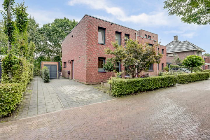 Foto 1 van Weidegeelster 5