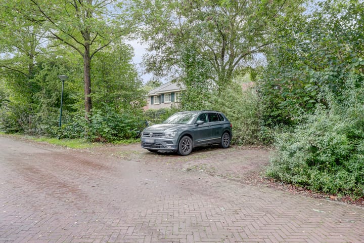 Foto 5 van Weidegeelster 5