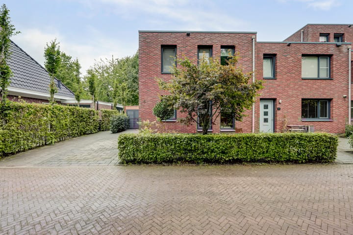 Foto 6 van Weidegeelster 5