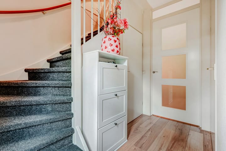 Foto 7 van Weidegeelster 5