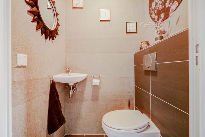 Foto 8 van Weidegeelster 5