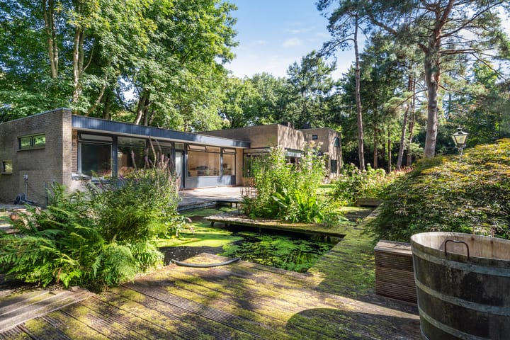 Photo 55 of Laan van Rhemen van Rhemenshuizen 1-A