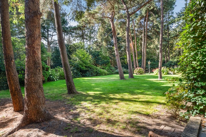 Photo 56 of Laan van Rhemen van Rhemenshuizen 1-A