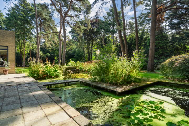 Photo 57 of Laan van Rhemen van Rhemenshuizen 1-A