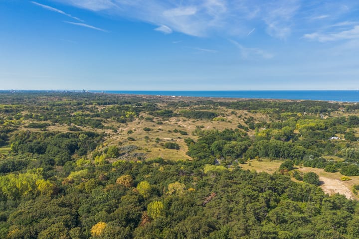 Photo 58 of Laan van Rhemen van Rhemenshuizen 1-A