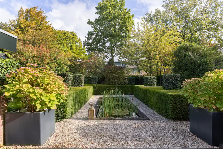 Foto 35 van Vogelwikke 21