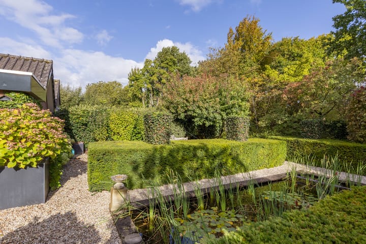 Foto 37 van Vogelwikke 21