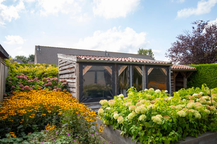 Foto 32 van Roebol 13