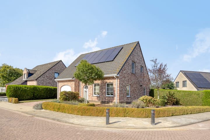 Foto 34 van Cuwaertstraat 5