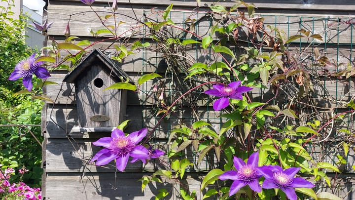 Foto 40 van Akkerwinde 31