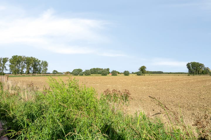 Photo 34 of Graaf Jansdijk 60