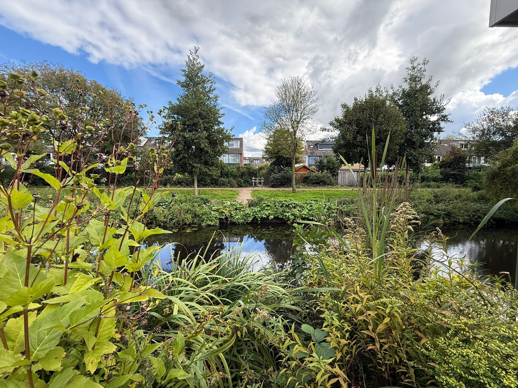 Photo 3 of Beemdgras 42