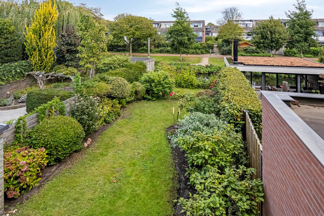 Photo 2 of Beemdgras 42