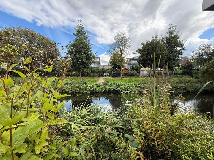 Foto 24 van Beemdgras 42