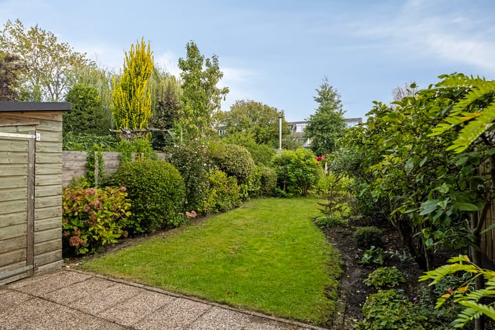 Foto 22 van Beemdgras 42