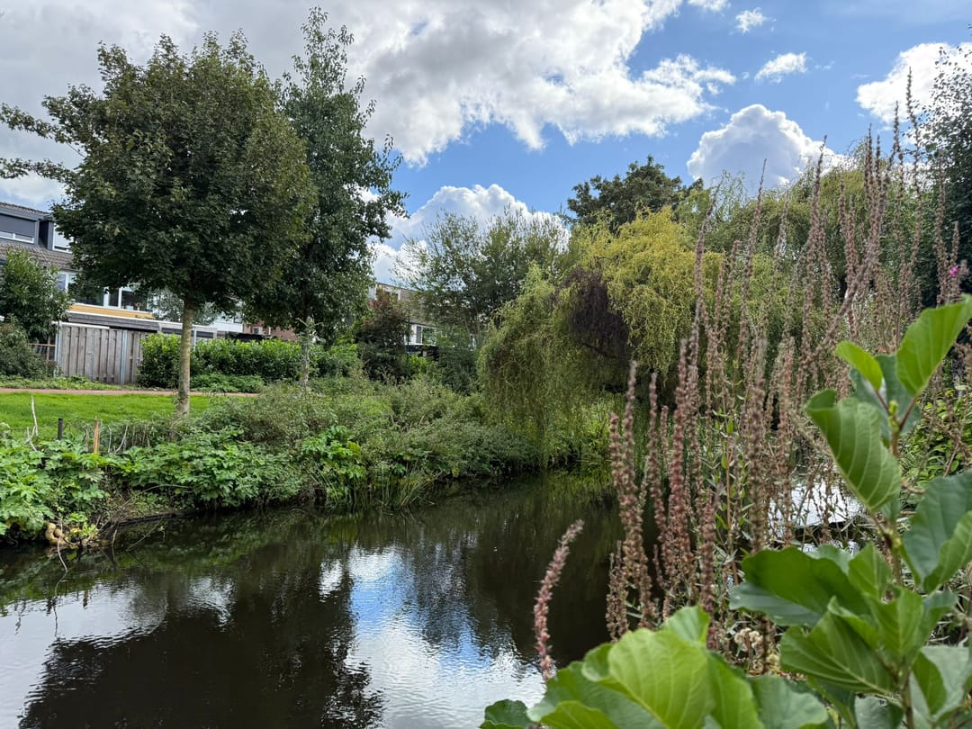 Photo 26 of Beemdgras 42