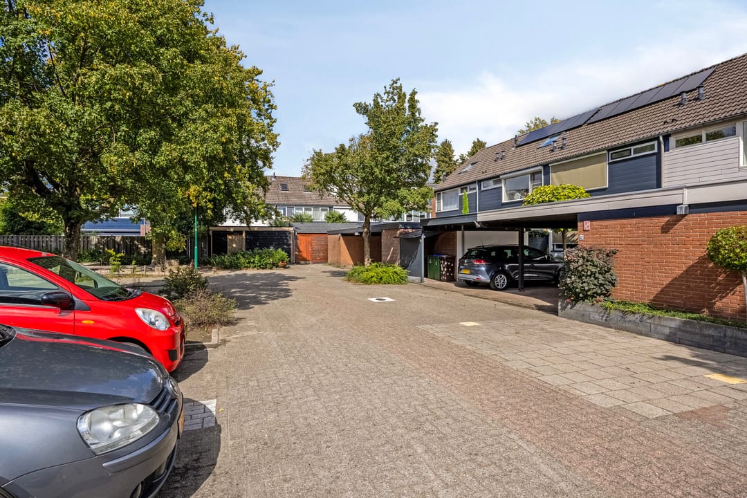 Photo 28 of Beemdgras 42